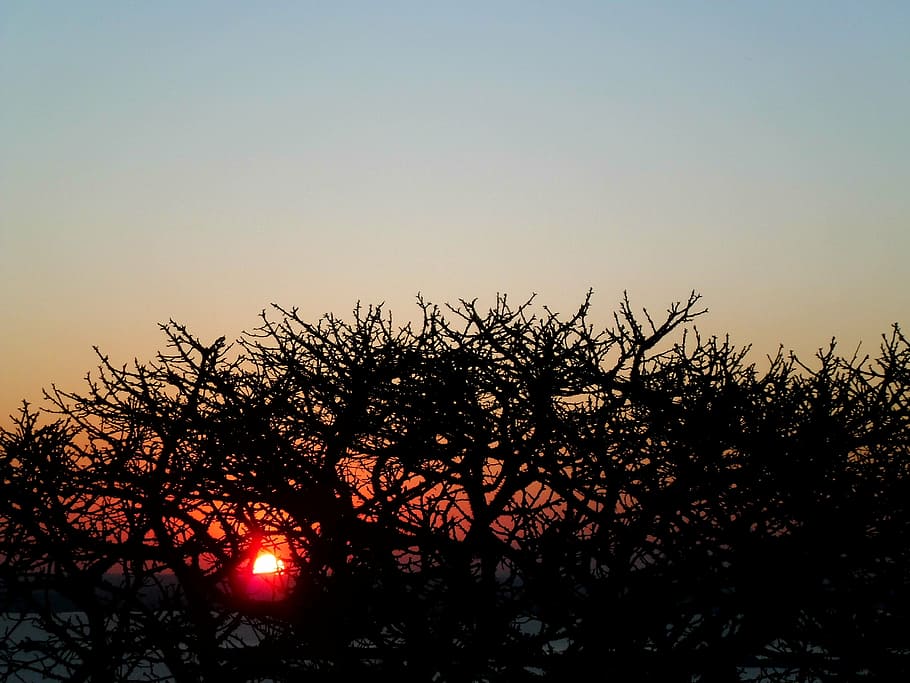 sky, red, sunset, blue, afternoon, rio, porto alegre, winter HD wallpaper