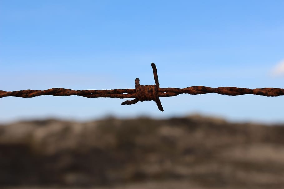 barbed wire, sky, safety, security, metal, fence, protection HD wallpaper