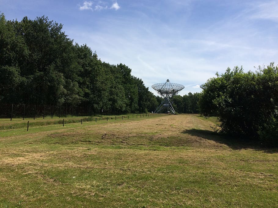 radio, radioscoop, drenthe, westerbork, plant, tree, grass HD wallpaper