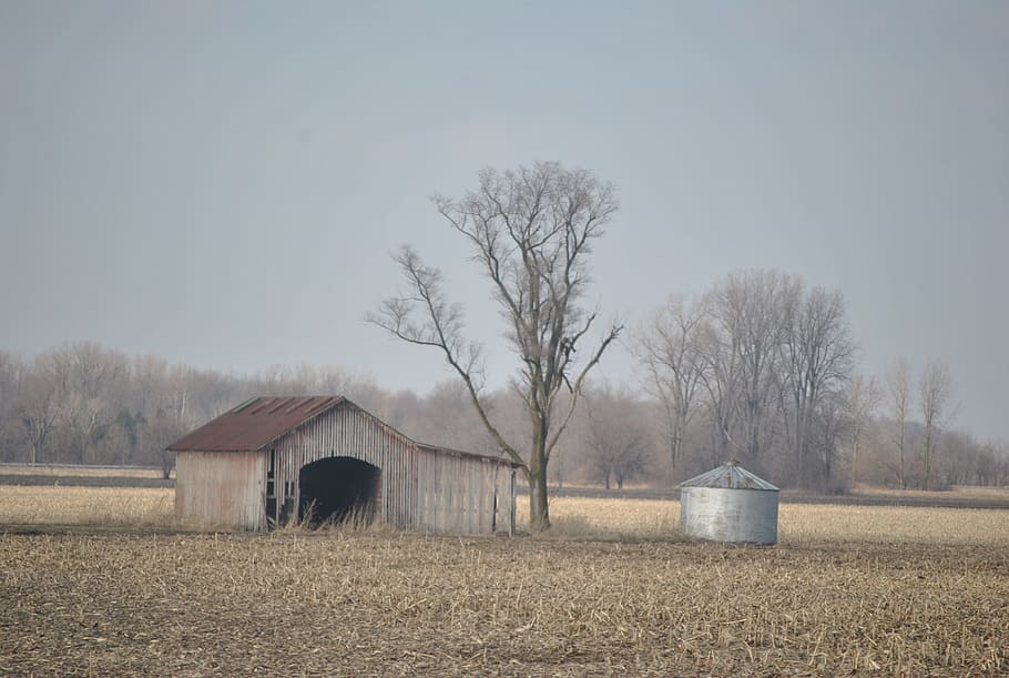 barn, farm, agriculture, field, landscape, architecture, built structure