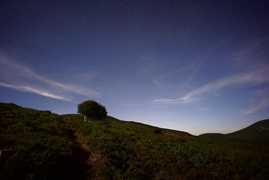 tree on mountain under cloudy sky, photography of green tree at nighttime HD wallpaper