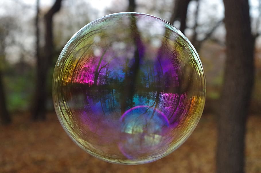 tilt shift view of clear bubble, soap bubble, reflection, balls HD wallpaper
