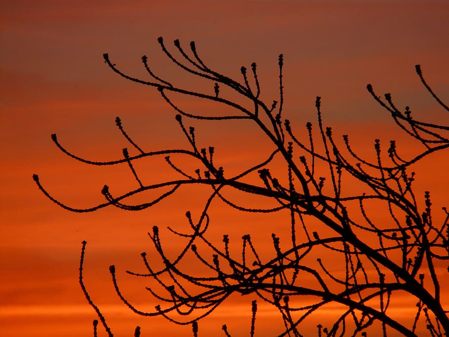 sunset, afterglow, clouds, sky, love, romance, beauty in nature HD wallpaper
