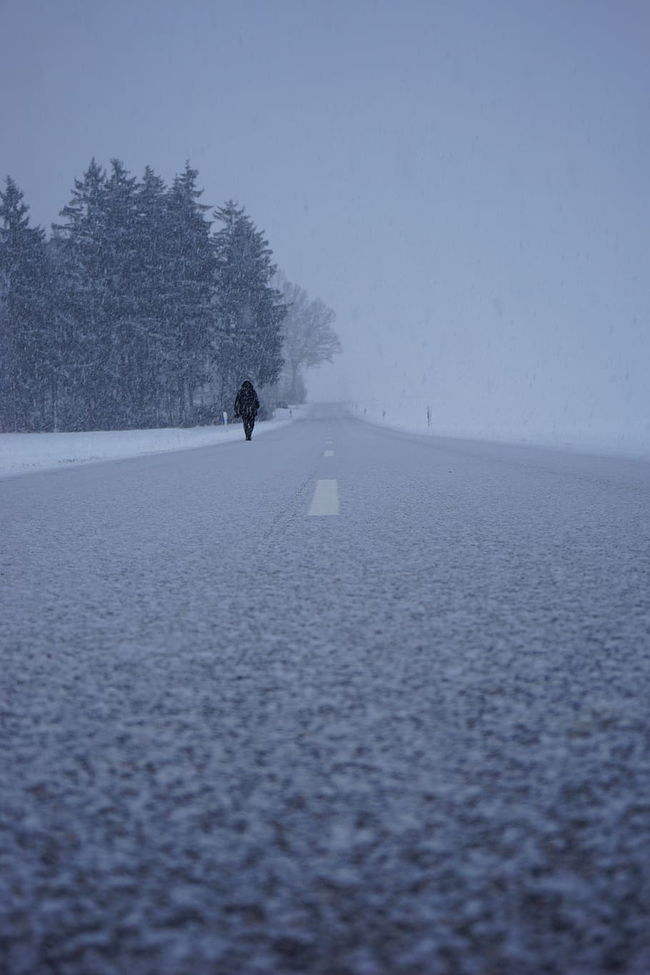 person walking on concrete road during winter, blizzard, way home, HD wallpaper