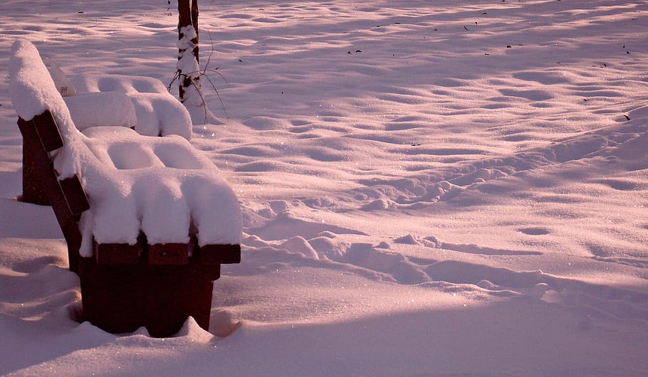 nature, winter, sunshine, cold, snow, wintry, winter cold, lonely HD wallpaper