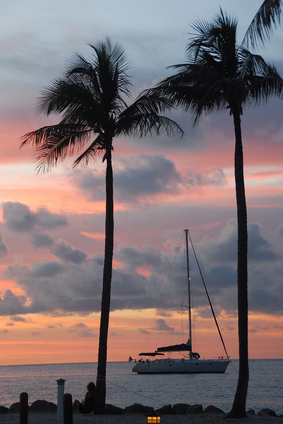 palm trees, sailboat, sunset, water, sky, sea, beauty in nature HD wallpaper