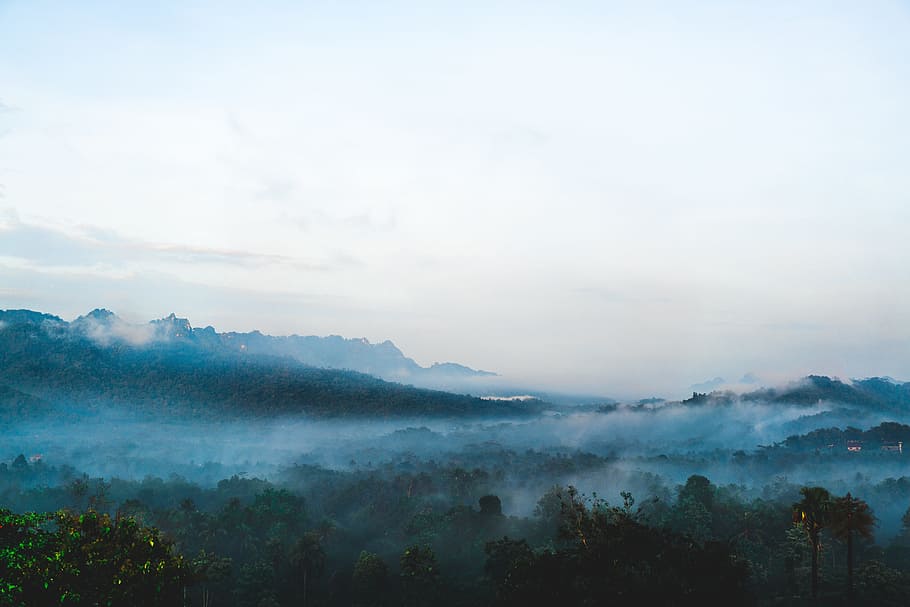 mountains, landscape, trees, nature, fog, clouds, sky, forest HD wallpaper