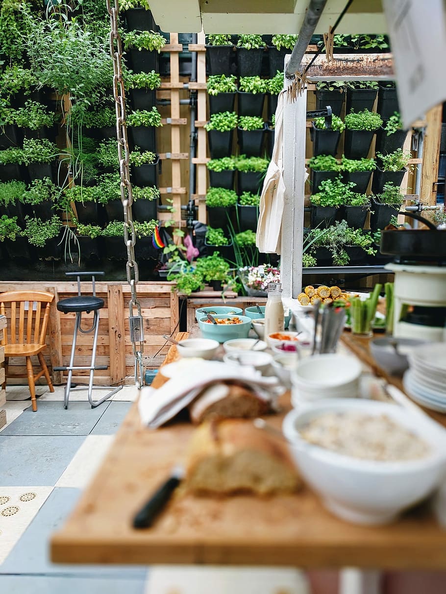 Hydroponic brunch, cooked food served in bowl on top of table HD wallpaper
