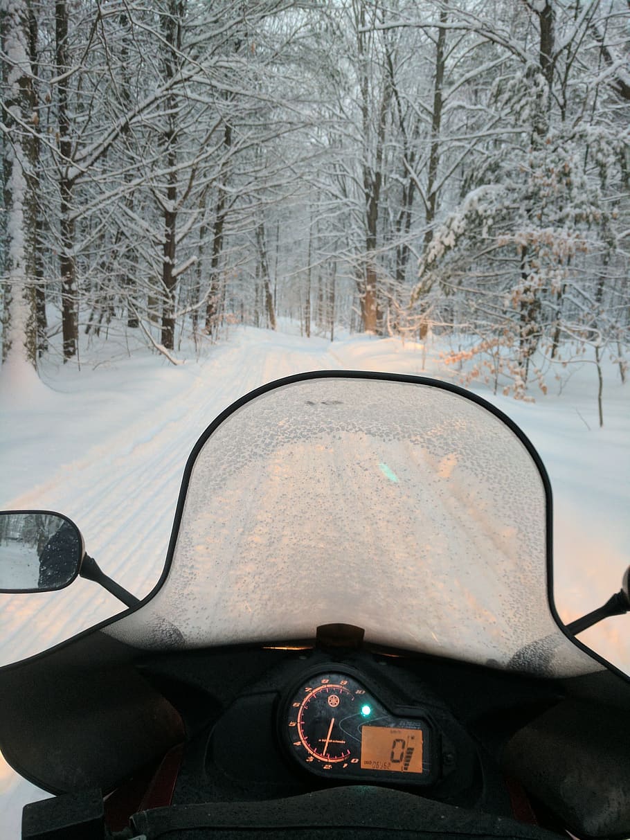 snowmobiling, snowmobile, sledding, mode of transportation HD wallpaper