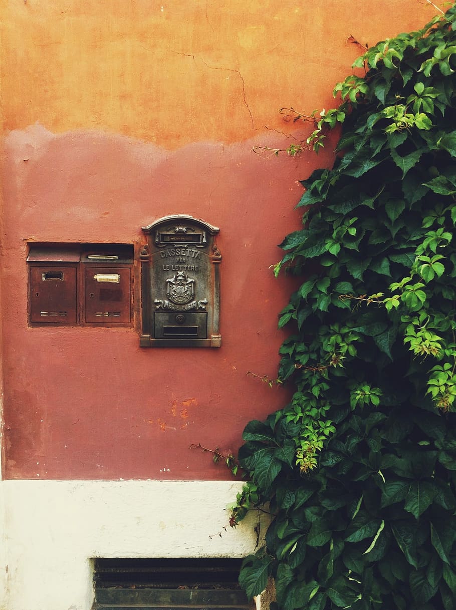 black mailbox on wall, vine plant on concrete wall, post box HD wallpaper