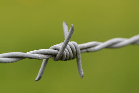 close-up photo of barbed wire, pointed, risk, fence, metal HD wallpaper