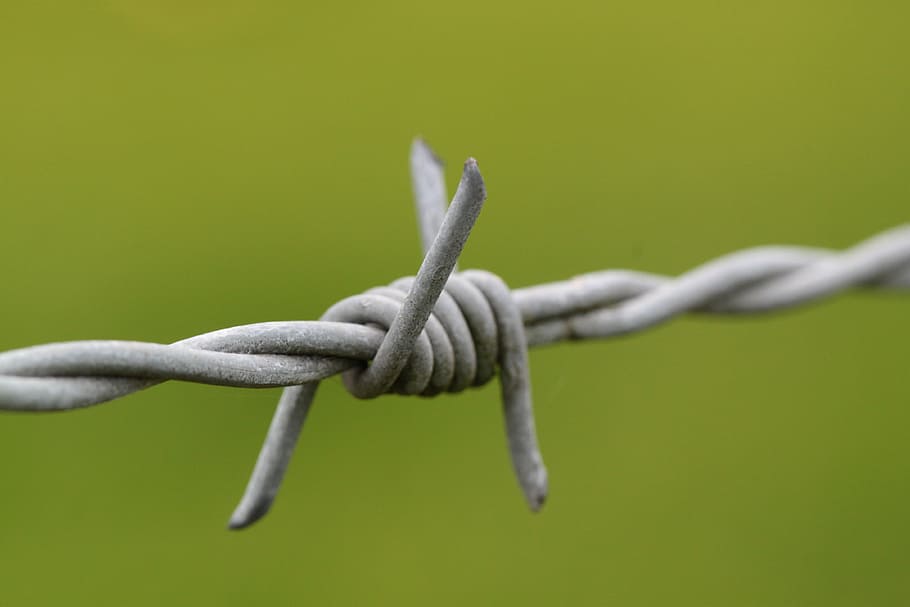 close-up photo of barbed wire, pointed, risk, fence, metal HD wallpaper