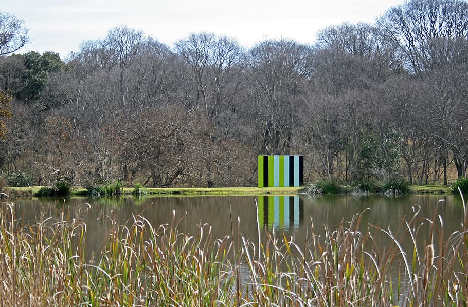 art, panel, colours, bright, greens, black, park, water, reflection HD wallpaper