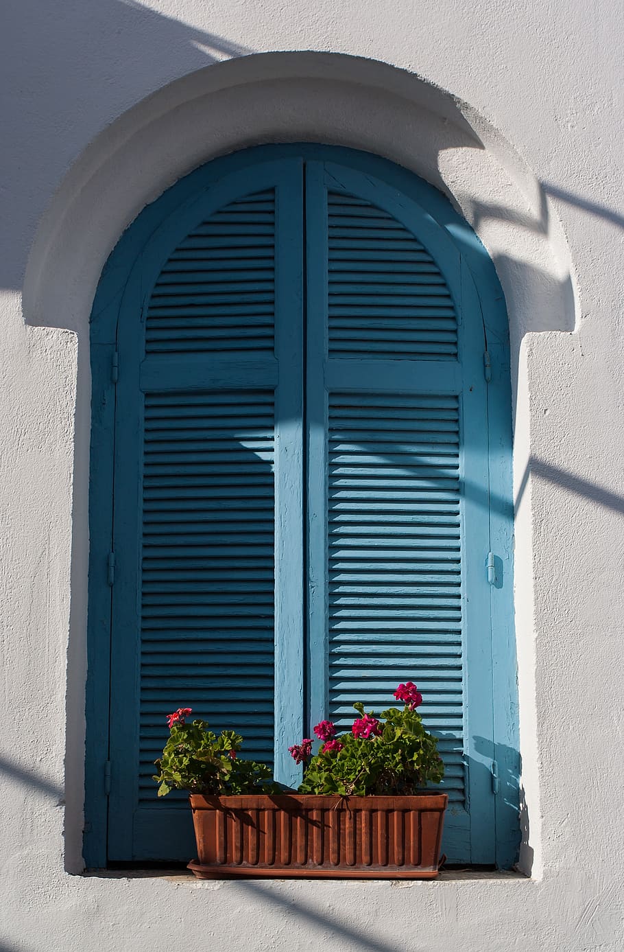 windows, house, old, light, color, tree, flower, pot, greenery HD wallpaper