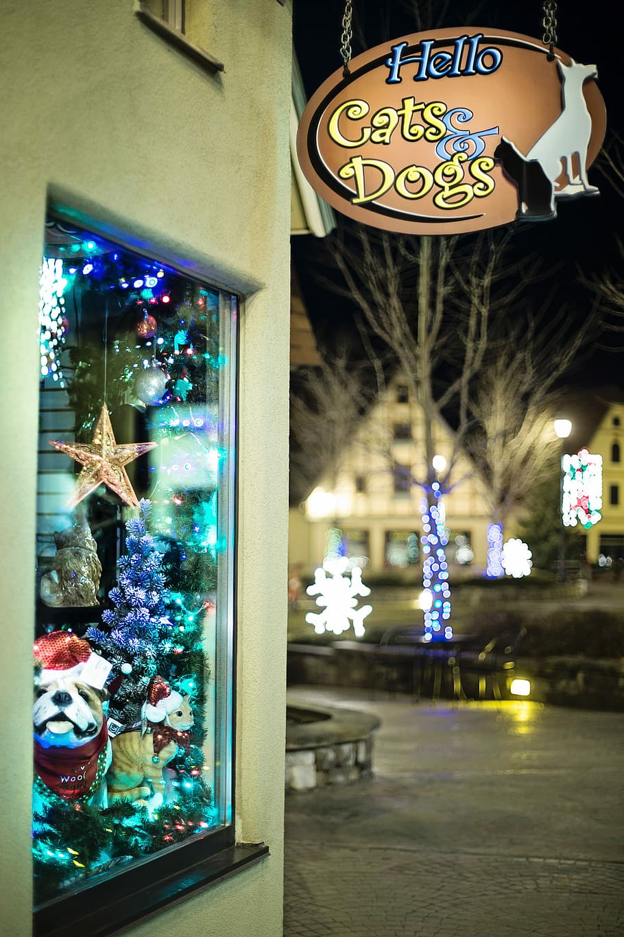 Christmas Store, Window, Display, night, illuminated, christmas decoration HD wallpaper
