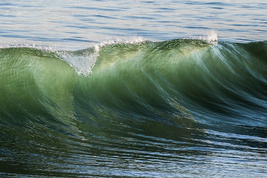 selective focus photography sea wave, sea with jaws wave, water HD wallpaper
