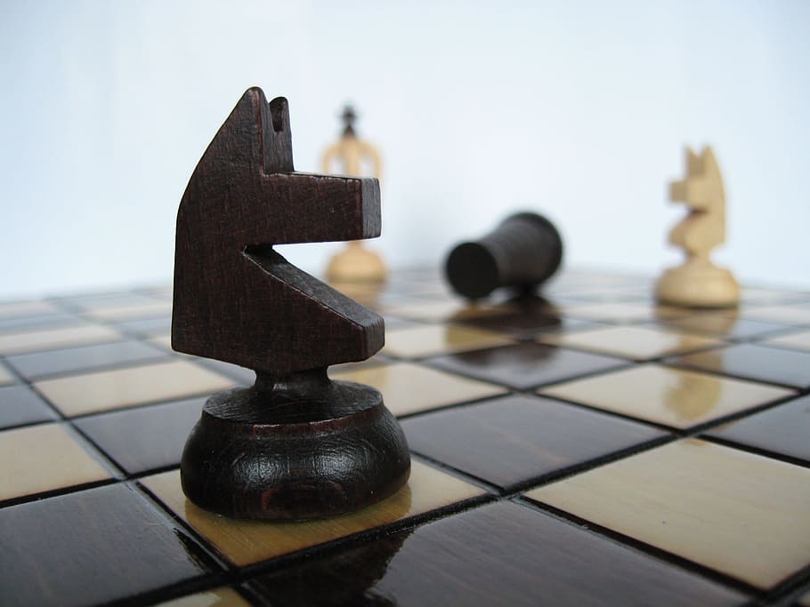 chess, pawn, knight, intelligence, leisure games, board game HD wallpaper