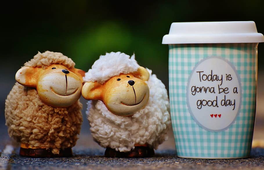 two white and brown sheep figurines, beautiful day, to go, joy, HD wallpaper