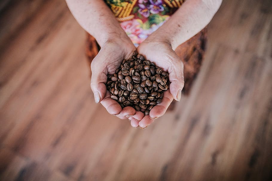 selective focus photography of person holding coffee beans, flat lay photography of person holding coffee beans HD wallpaper