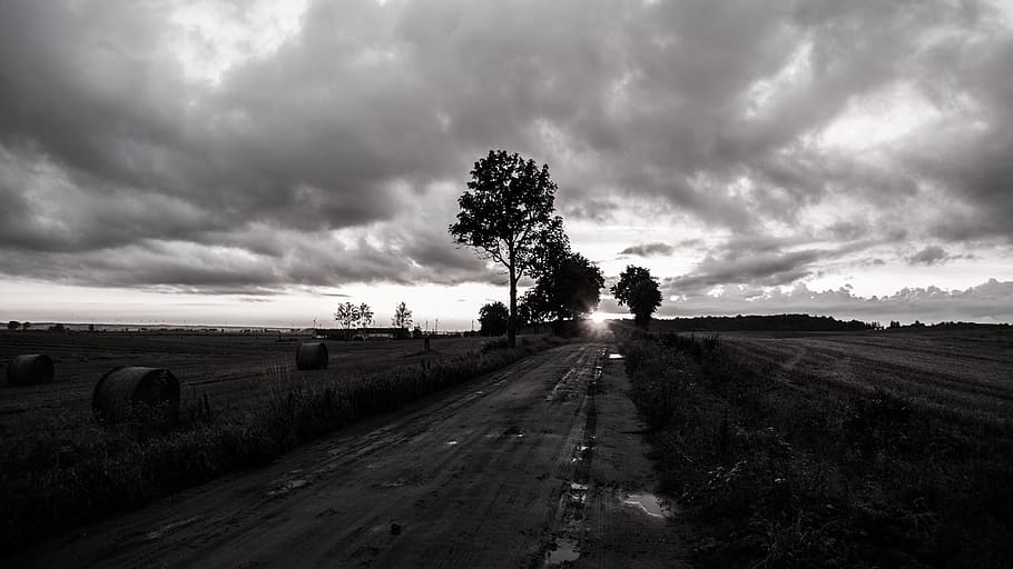 road, nightfall, black and white, cloud - sky, tree, plant HD wallpaper