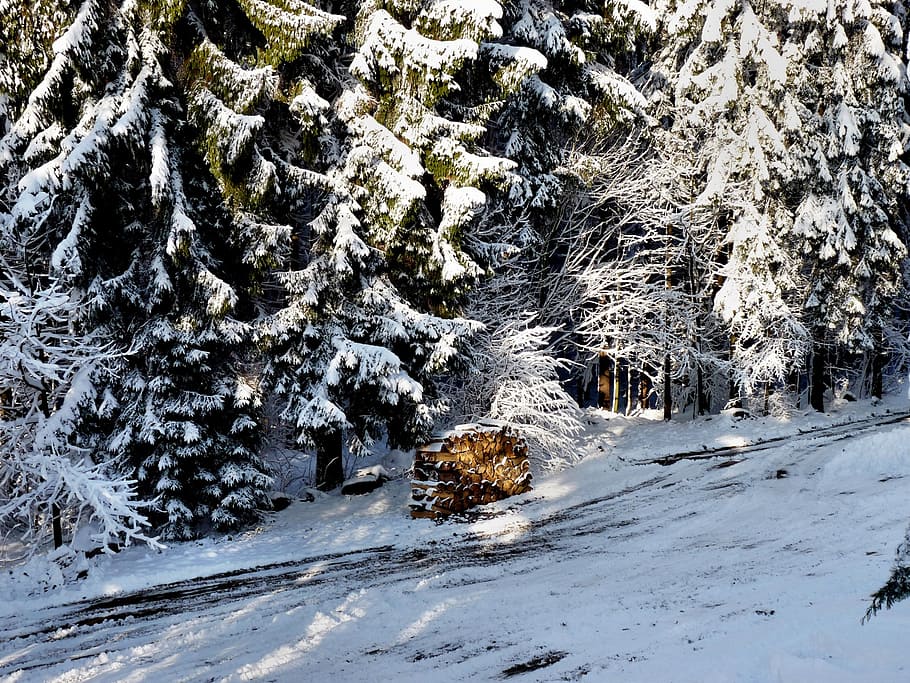 holzstabel, winter, snow, wintry, cold temperature, beauty in nature HD wallpaper