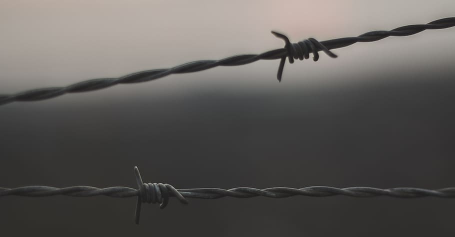 focus photo of gray barb wire, shallow focus photo of barbed wire
