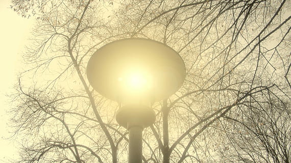 Lantern, Lamp, Meditation, Yellow, light, hell, aesthetic, branches HD wallpaper