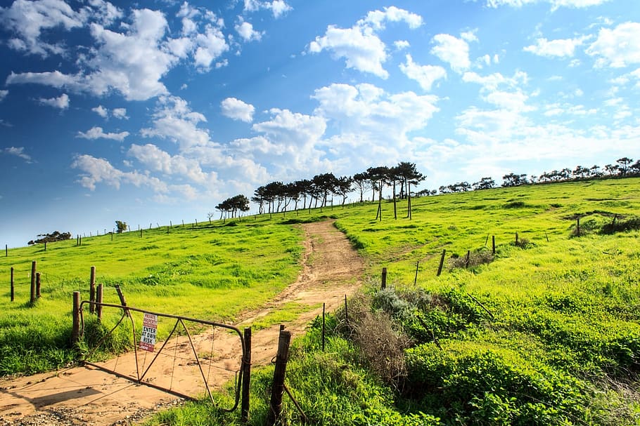 Green, Grass, Grass, Field, Gate, Trees, blue, sky, clouds HD wallpaper