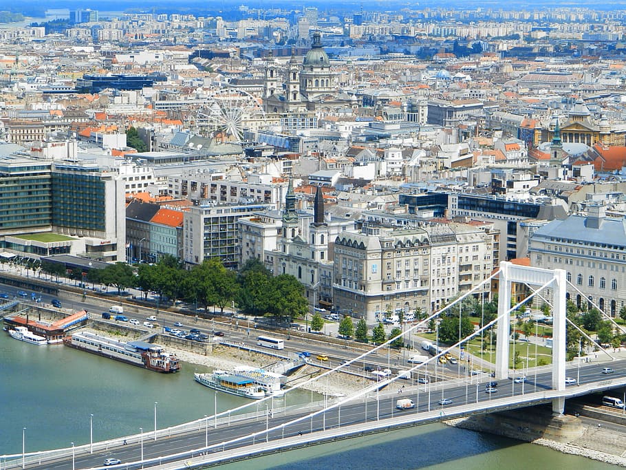 scape, budapest, hungary, buildings, elizabeth bridge, city HD wallpaper