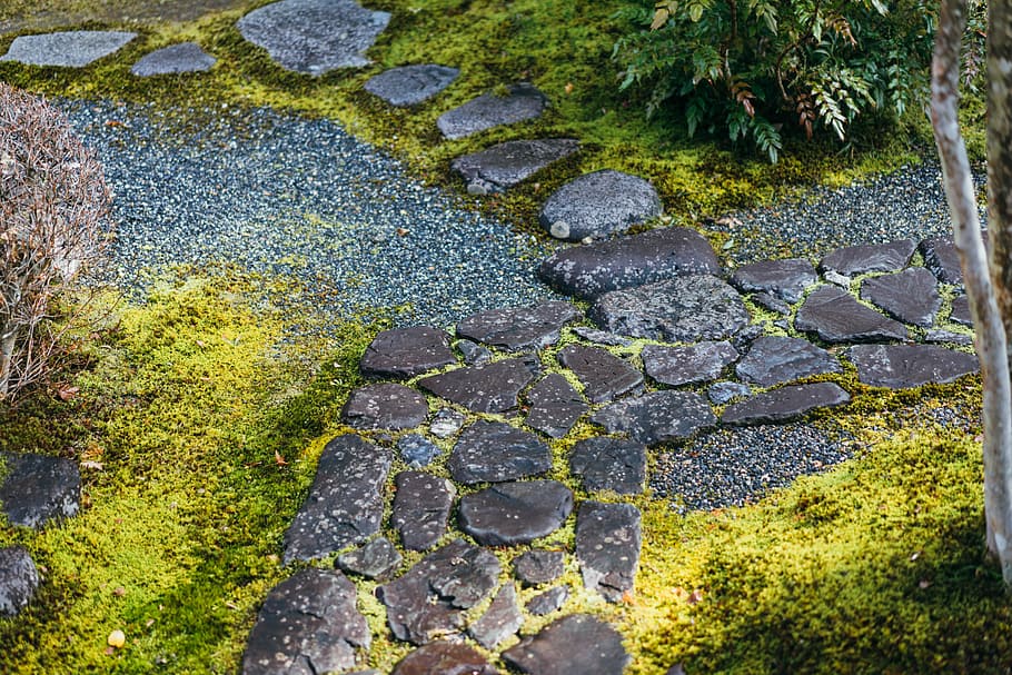 Grass, Ground, Empty, day, nature, moss, outdoors, no people HD wallpaper
