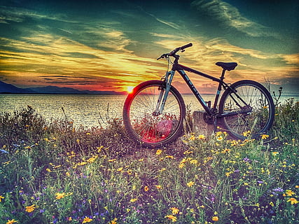 black hardtail mountain bike beside the body of water during sunsset HD wallpaper