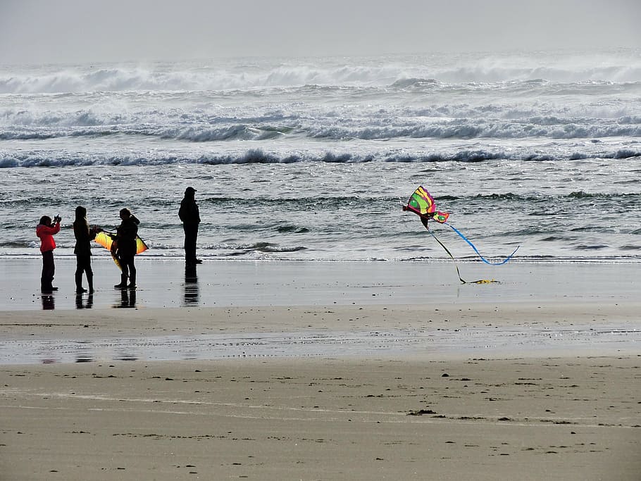 beach, kite, kite flying, fun, sand, coast, ocean, sea, water HD wallpaper
