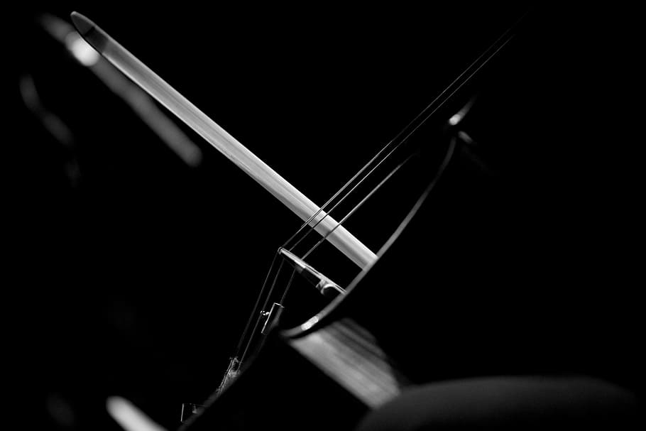 untitled, cello, bow, string, music, instrument, string instrument