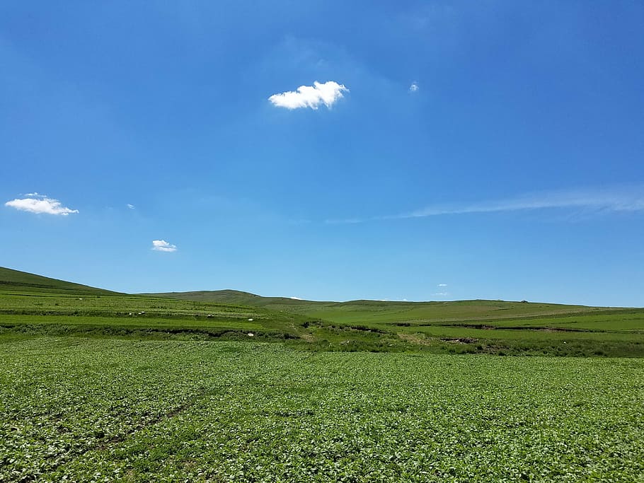 blue sky, fresh air, cloud, landscape, environment, scenics - nature HD wallpaper