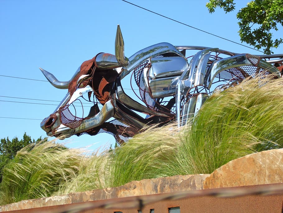 Texas, Longhorn, Sculpture, metal art, statue, artwork, metal sculpture