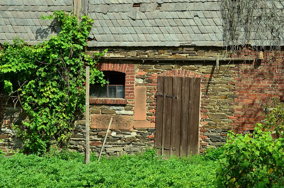 brown wooden door on gray concrete wall, farmhouse, barn, building
