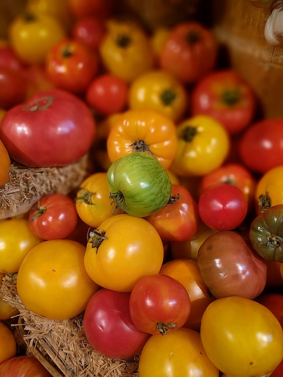 tomato, vegetable, fresh, natural, green, red, display, harvest HD wallpaper