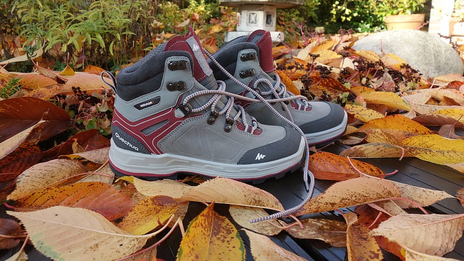 shoe, walking shoes, autumn, season, autumn leaves, sportive, HD wallpaper