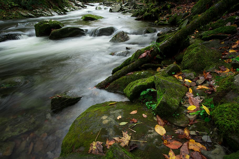 photo of river surrounded by stones, flowing river surrounded by rocks HD wallpaper