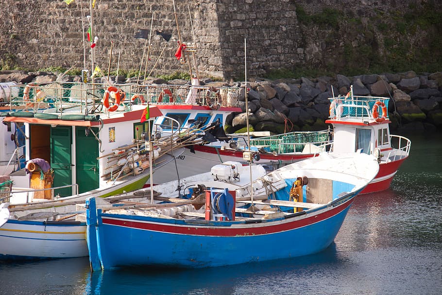 Fishing, Boats, Portuguese, Acores, harbour, fishery, nautical vessel