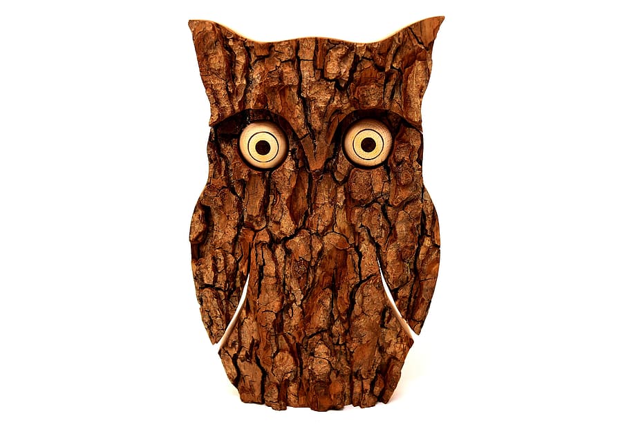 brown and black wooden owl figurine close-up photo, tree bark HD wallpaper