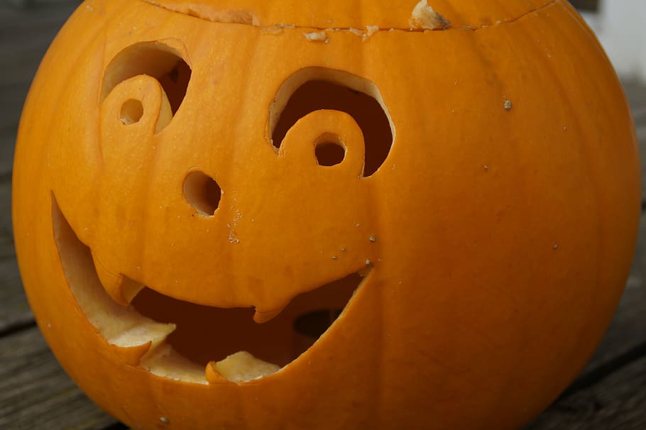 pumpkin, pumpkin ghost, face, halloween, autumn, halloweenkuerbis HD wallpaper