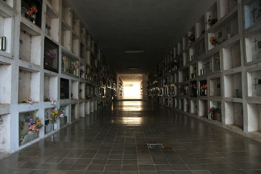 cemetery, tablets, hall, architecture, built structure, the way forward HD wallpaper