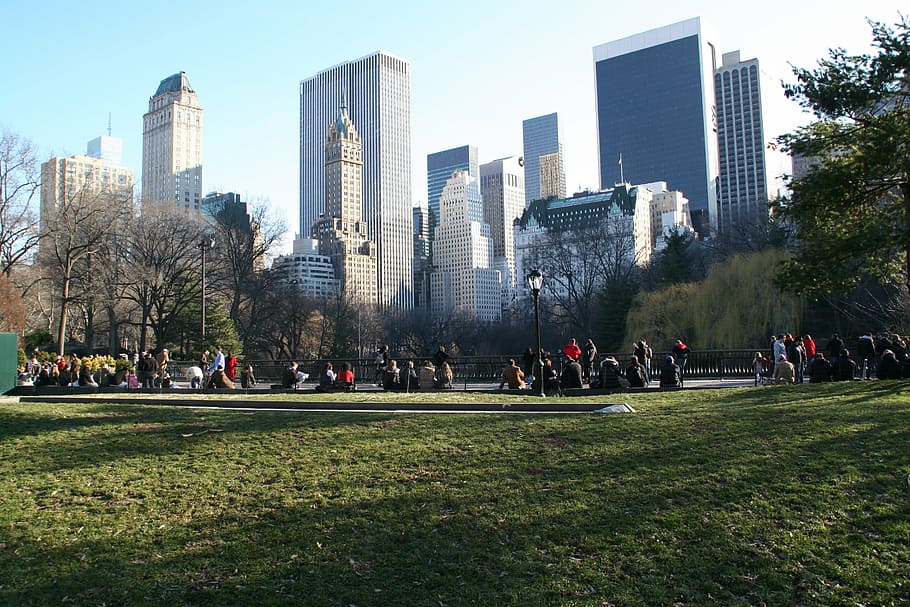 central park, nyc, winter, architecture, built structure, building exterior HD wallpaper