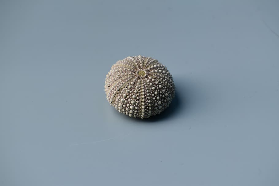 round beige pin cushion, gray and white stone on gray textile