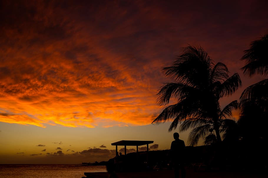 silhouette of man near body of water during golden hour, sunset HD wallpaper
