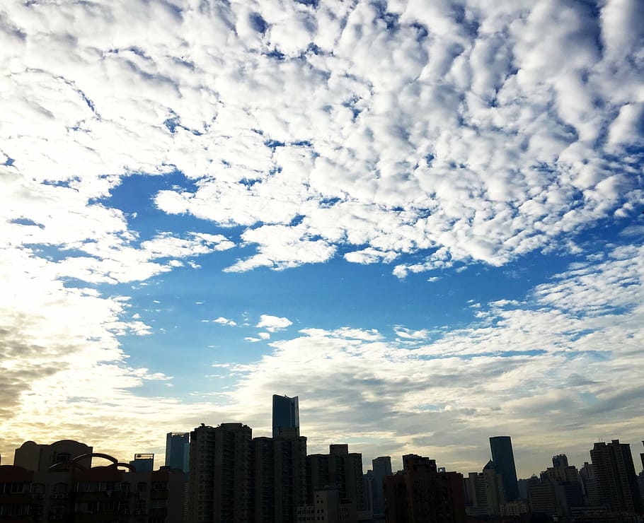 shanghai, morning, sky, cloud, silhouette, skyscraper, urban Skyline HD wallpaper
