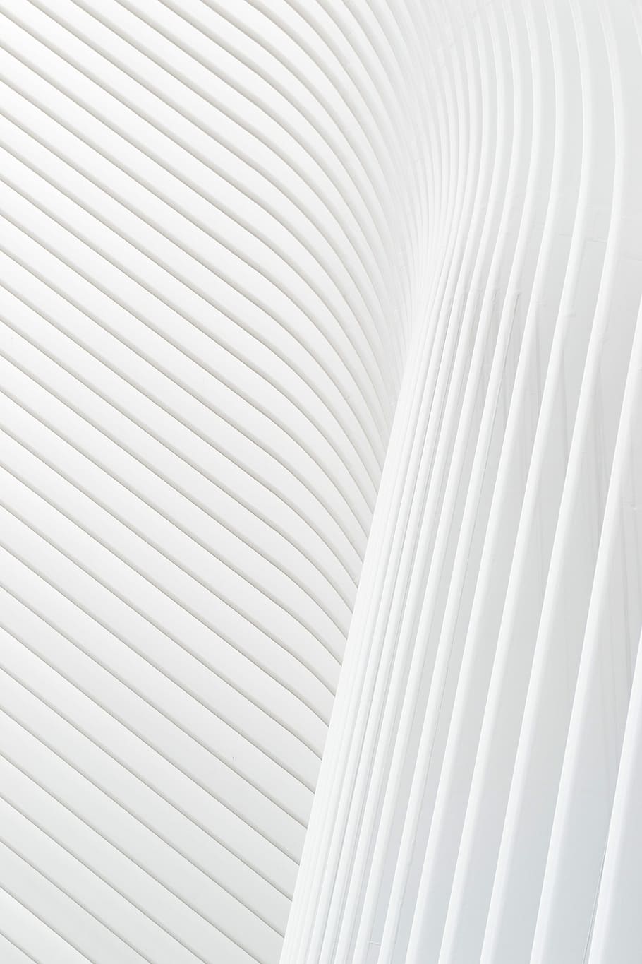 white wallpaper, building, architecture, curve, abstract, pattern HD wallpaper