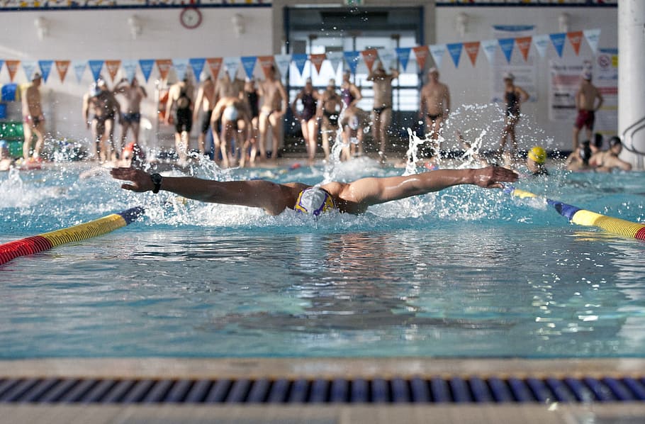 Swimming, Exercise, Pool, sport, swimming Pool, people, sports And Fitness HD wallpaper