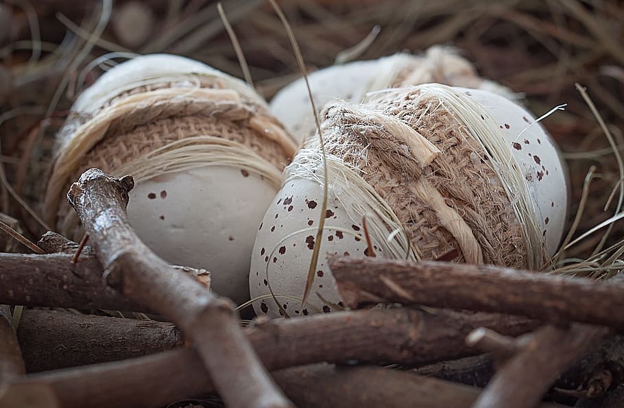 three white poultry eggs on nest, easter eggs, tinker, deco HD wallpaper